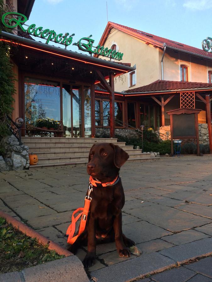 Istvan Parkhotel Es Gasztrofarm Sormás Eksteriør bilde